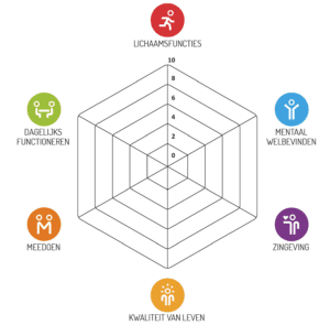 spinneweb Positieve Gezondheid